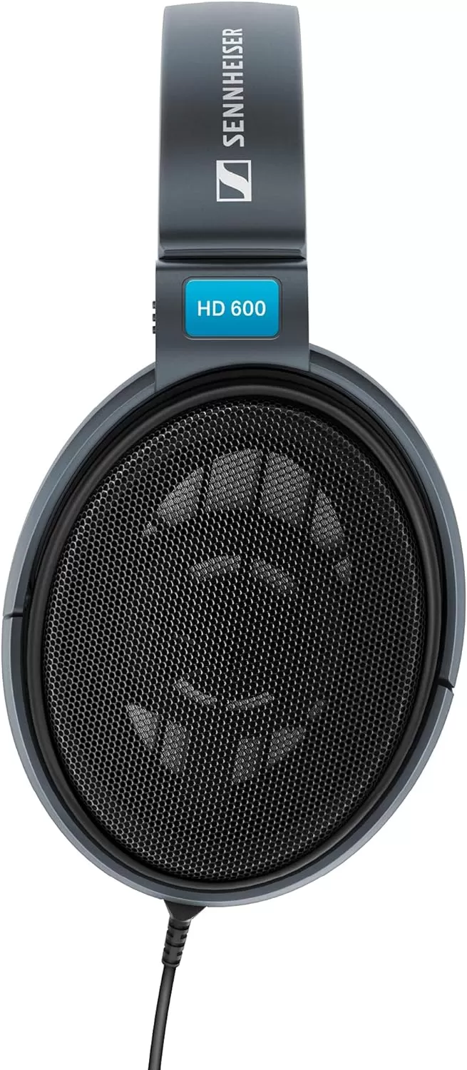Sennheiser Consumer Audio HD 600 - Audiophile Hi-Res Open Back Dynamic Headphone, Black